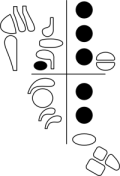 bsna1